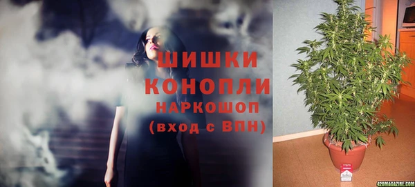 spice Алексин
