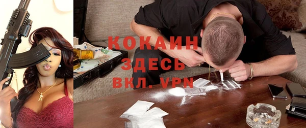 spice Алексин