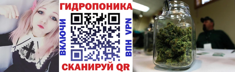 Шишки марихуана планчик  omg tor  Андреаполь 